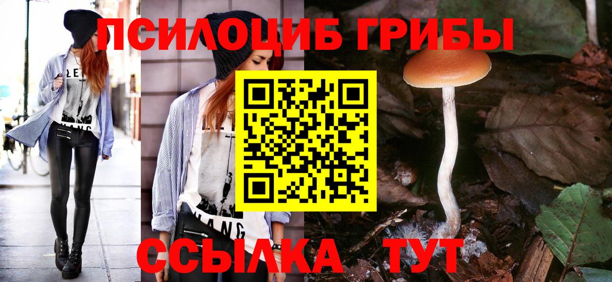 Псилоцибиновые грибы Cubensis  Вход с VPN  Удомля  Псилоцибиновые грибы Magic Shrooms 