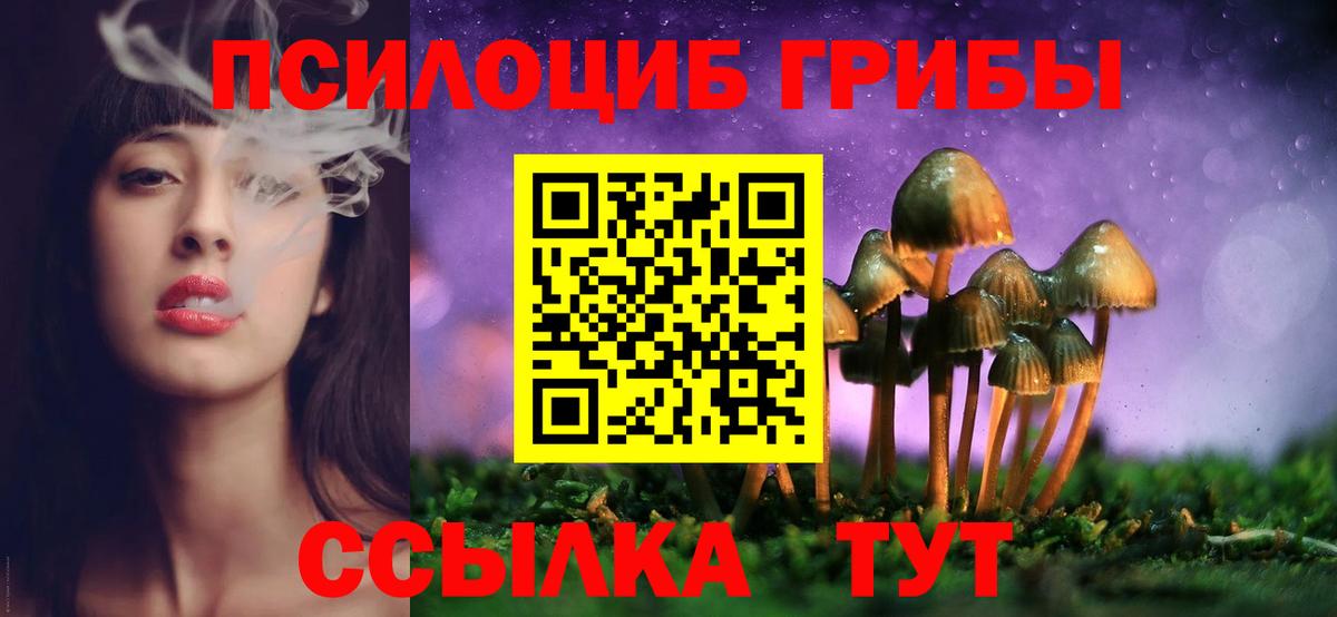 Галлюциногенные грибы MAGIC MUSHROOMS Удомля